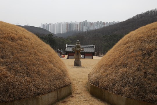 경기도 김포시 풍무동 장릉 전방에 인천 서구 검단신도시 신축 아파트 건설 현장이 보인다. 사진=임준선 기자