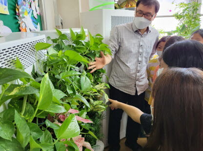 교실에 설치된 수직정원. 사진=고양시 제공