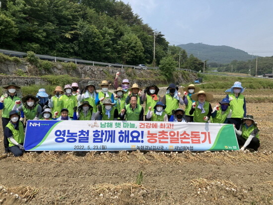 햇마늘 수확 일손돕기 실시 모습. 사진=경남농협 제공