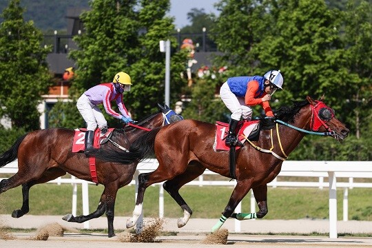 YTN배 대상경주에서 위너스맨(오른쪽)이 우승했다. 행복왕자(왼쪽)는 1.5마신 차로 우승을 내줬다. 사진=한국마사회 제공