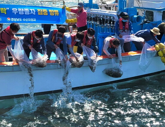 수산종자 방류 모습. 사진=경남도 제공