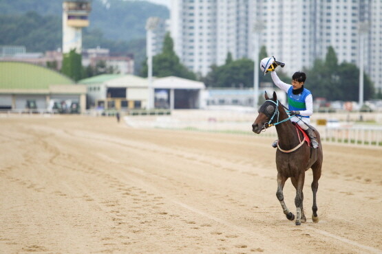 서울 경기도지사배 대상경주에서 우승한 부경 최시대 기수와 골든파워. 사진=한국마사회 부산경남본부 제공