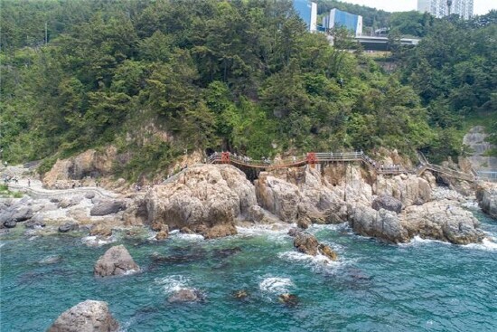 욜로갈맷길 6코스 영도 절영산책로. 사진=부산시 제공