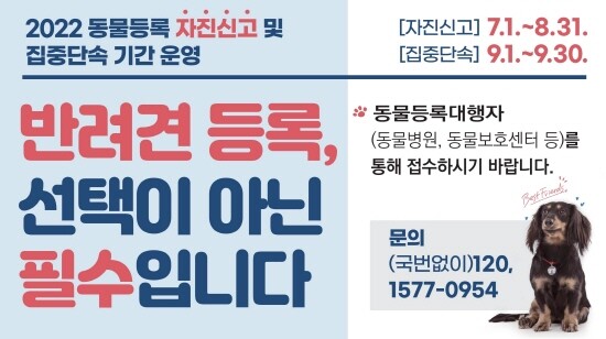 반려견 동물등록 자진신고 기간 운영 이미지. 사진=김해시 제공