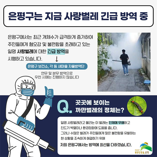 7월 2일 긴급방역 소식을 알리며 관련 설명 자료를 배포한 은평구청. 사진=은평구청 제공