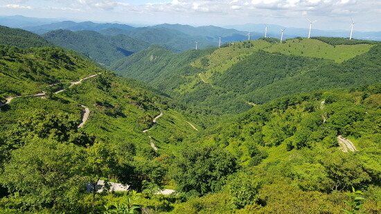 의령한우 산임도. 사진=경남도 제공