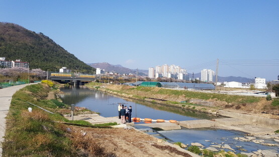 봉곡천. 사진=김해시 제공