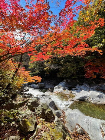 사진=경기도 제공