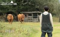 '자연의 철학자들' 소와 교감하며 가족으로 살아가는 엄수정 씨