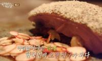 ‘한국인의 밥상’ 코리안 허브 깻잎, 한식 풍미 더해주는 들기름