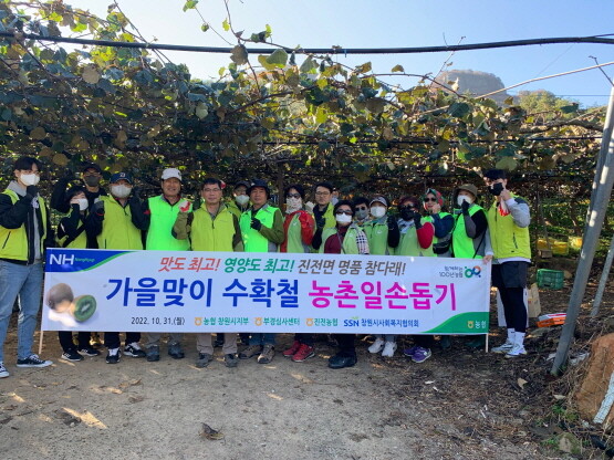 참다래 수확 일손돕기 실시 모습. 사진=경남농협 제공