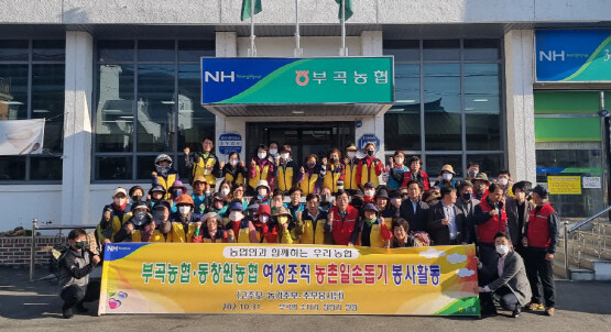 단감수확 일손돕기 실시 장면. 사진=경남농협 제공