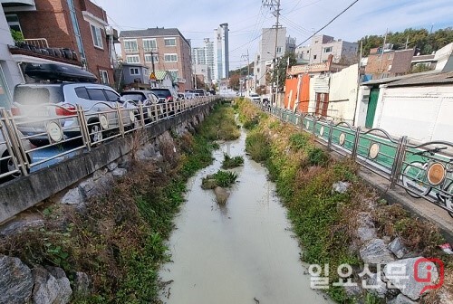 혼탁수가 2시간 넘게 관고동 주택가 하천을 흐르고 있다.사진=유인선 기자