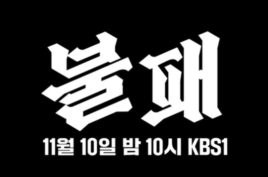 사진=KBS 다큐 인사이트