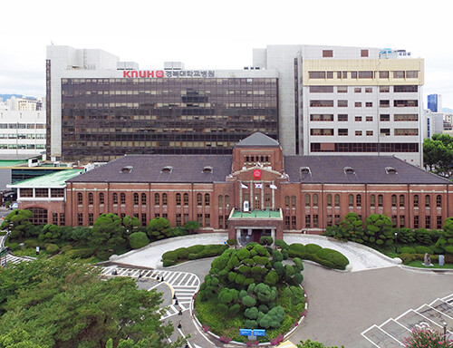 경북대병원