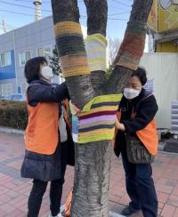 ‘나무에 옷을 입혀요’ 가로수 겨울 준비...파주시 금촌역에 그래피티 니팅 선봬