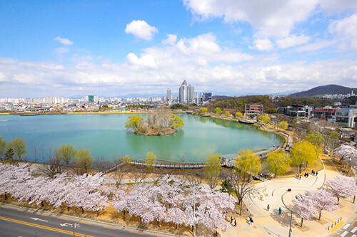 대구 수성못. 사진=수성구청 제공