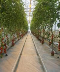 용인시, 미래농업과 안전한 농산물 생산 위한 18억원 상당 시범사업 추진