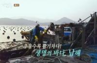 ‘한국인의 밥상’ 통영 바다 굴, 대구, 아귀까지...겨울 진객 맞이한 남해