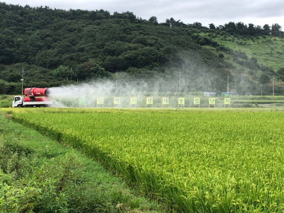 친환경 쌀 생산 이미지. 사진=김해시 제공