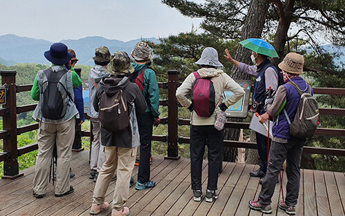 경북도산림자원개발원이 오는 11월 30일까지 숲해설 프로그램을 무료로 상시 운영한다. 사진=경북산림자원개발원 제공