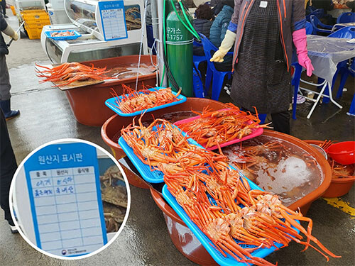 수족관에는 러시아산 대게가, 바닥 고무 대야에는 국내산 붉은 홍게가 진열돼 있다.