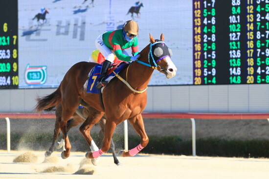 작년 15회 경남신문배 대상경주 당시 맨오브더이어 우승 장면. 사진=한국마사회 부산경남본부 제공