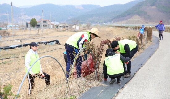 영농폐기물 수거 작업 실시 모습. 사진=경남농협 제공