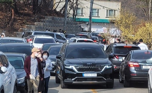 산수유 축제장을 찾은 차량들로 혼란을 겪고 있는 행사장 진입 도로.(사진= 유인선 기자)