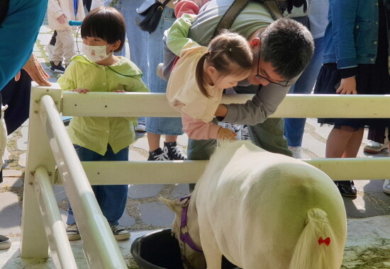렛츠런파크 부산경남 홍보부스에 방문한 어린이가 미니홀스 바우를 쓰다듬고 있다. 사진=한국마사회 부산경남본부 제공
