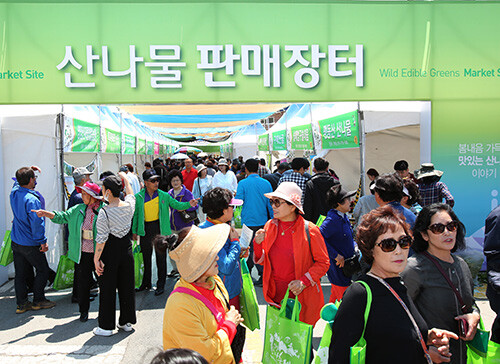 영양산나물축제. 사진=경북도 제공