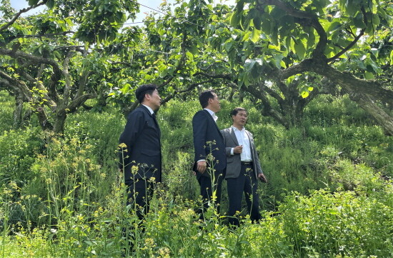 냉해 피해 지역 현장 점검 실시 장면. 사진=경남농협 제공