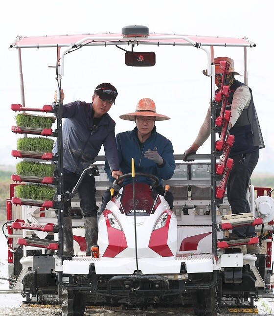 정명근 화성시장이 12일 이앙기를 타고 '수향미' 모내기 시연을 하고 있다. 사진=화성시 제공
