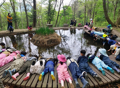 유아숲체험원 교육. 사진=경북도 제공