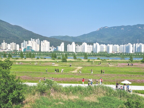 대동생태체육공원. 사진=김해시 제공