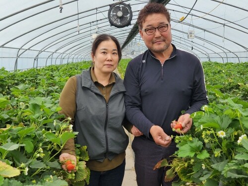 진주수곡농협 정서영 하윤숙 부부. 사진=경남농협 제공