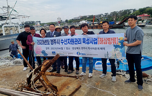 동해안 전략품종 해삼(海蔘)종자 25만 마리 방류. 사진=경북도 제공