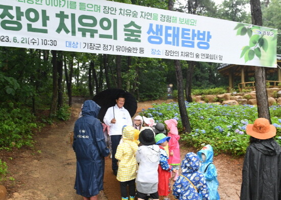 ‘숲 해설과 함께하는 생태탐방 프로그램’  시범운영 장면. 사진=기장군 제공