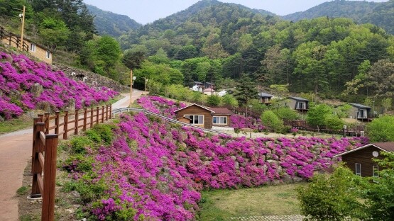 구재봉자연휴양림. 사진=경남도 제공