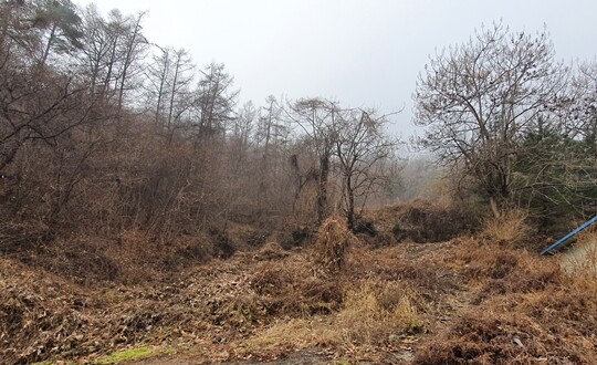 김건희 여사 일가가 보유한 양평 강상면 병산리 부동산. 가건물 왼편으로 김 여사 일가 보유 토지가 많지만, 움푹 파인 계곡과 절벽이 위치해 사람의 접근이 사실상 불가능하다. 사진=민웅기 기자