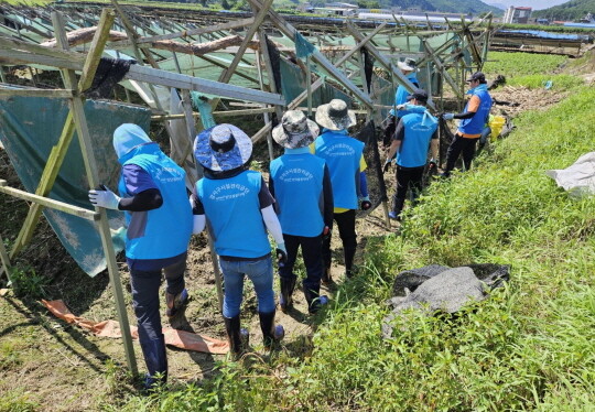 수해 복구 현장에서 비닐하우스를 철거하는 공단 봉사단