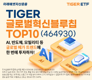 글로벌혁신블루칩TOP10