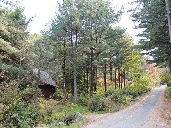 청태산 휴양림. 사진=산림청