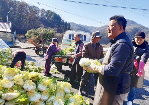 양평로타리클럽 김창민 회장과 전현직 임원들이 로뎀의집을 찾아 '사랑의 김장나눔' 봉사활동을 펼쳤다. 사진=양평로타리클럽 제공