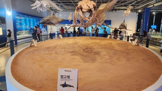 장생포 고래문화마을. 사진=남구청 제공