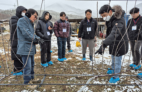 사과 다축재배 농가 컨설팅. 사진=경북농업기술원 제공