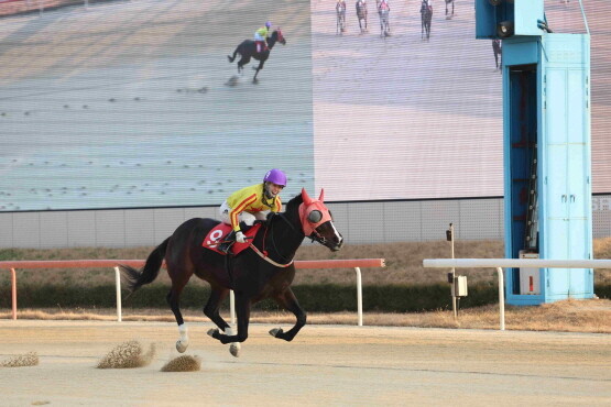 한강클래스. 사진=한국마사회 부산경남본부 제공