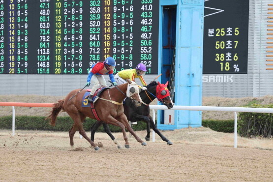 원더풀리어. 사진=한국마사회 부산경남본부 제공