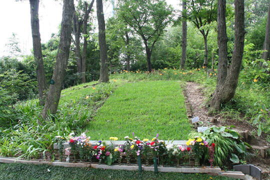 NPO법인 엔딩센터가 운영하는 벚꽃장 묘지. 사진=엔딩센터 홈페이지