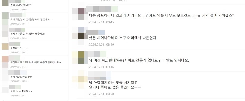 평화누리특별자치도 이름에 경기북부 지역 한 맘카페에서는 불만 의견이 대다수였다. 사진=경기북부 지역 한 맘카페 캡처